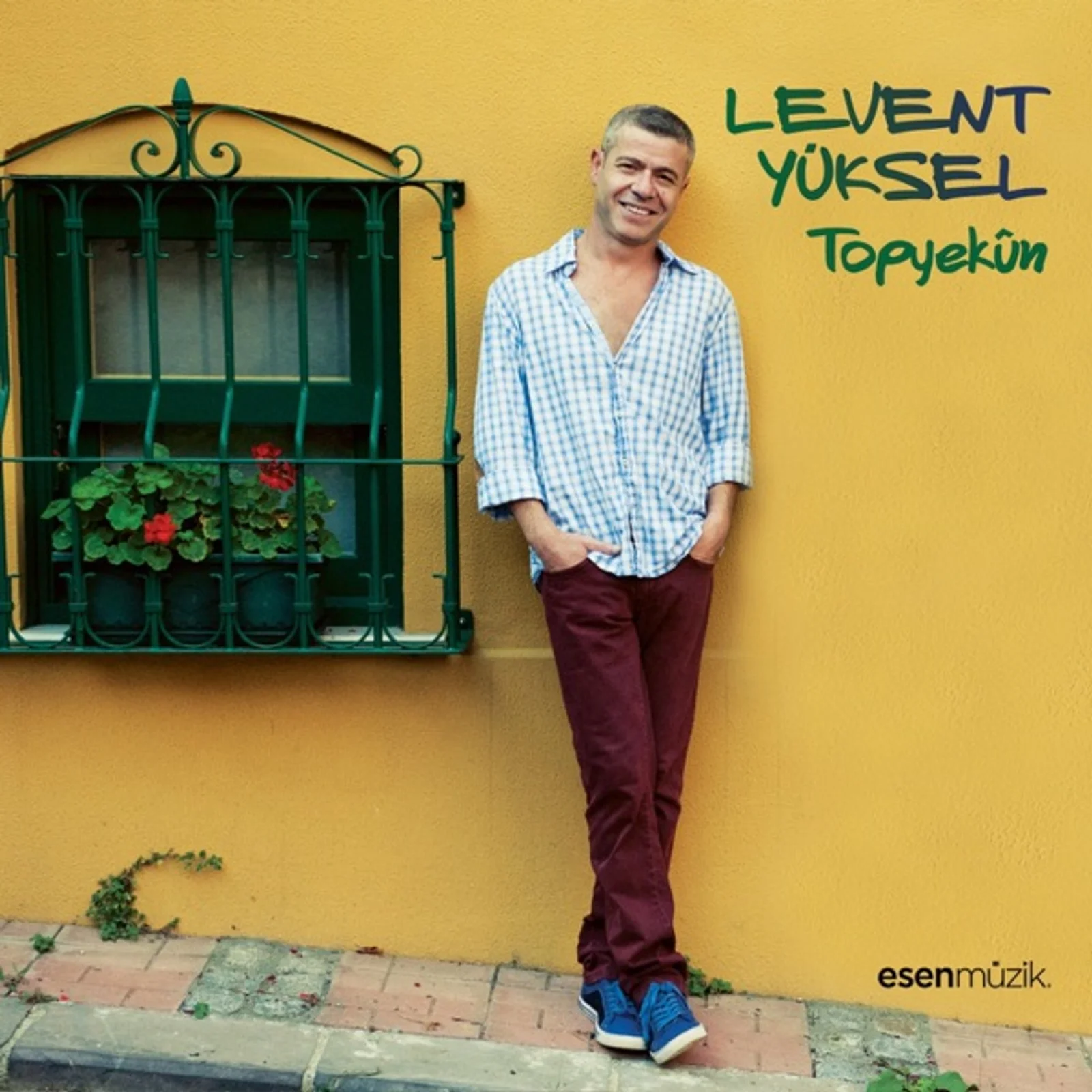 Topyekün (2012) cover