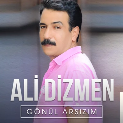 Gönül Arsızım (2007)