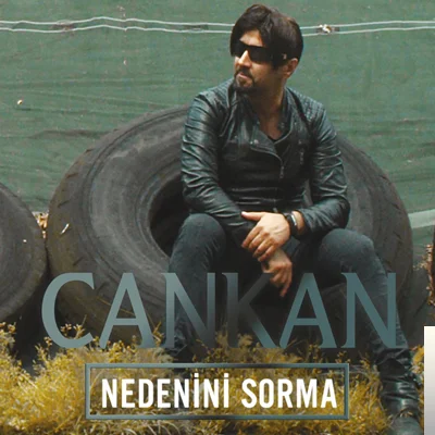 Nedenini Sorma (2019)