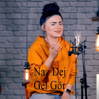Gel Gör (2019) cover