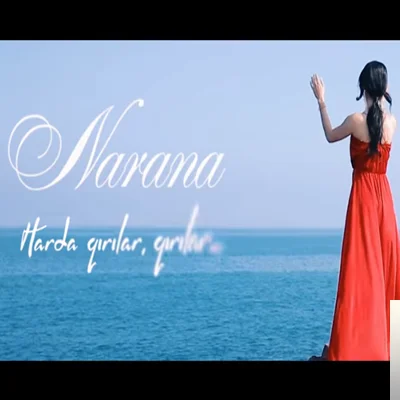 Harda Qirilar Qirilar (2019)