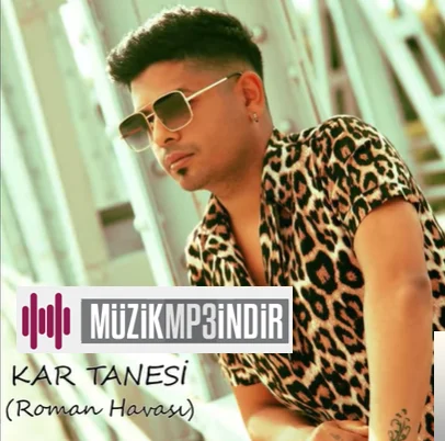 Kar Tanesi (2019) cover