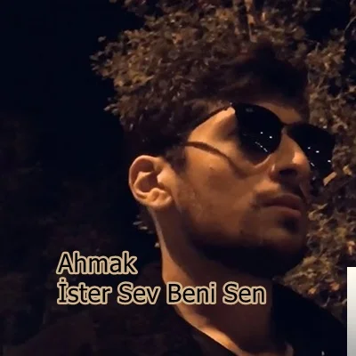 İster Sev Beni Sen (2019)