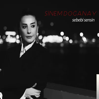Sebebi Sensin (2020)