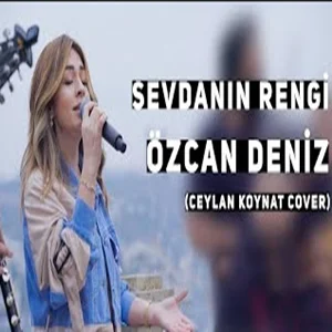 Sevdanın Rengi (2020) cover