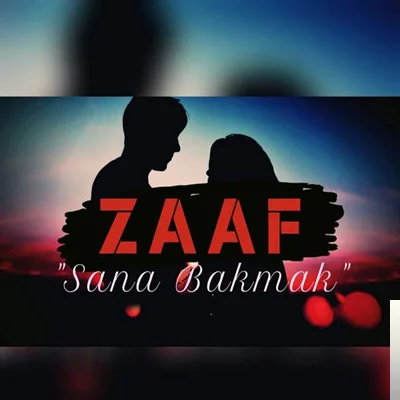 Sana Bakmak (2019) cover