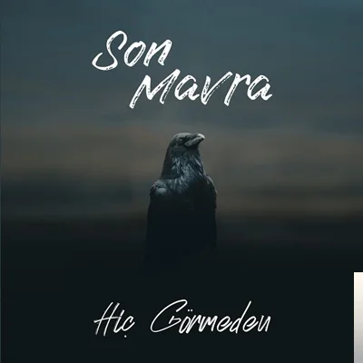 Hiç Görmeden (2020)