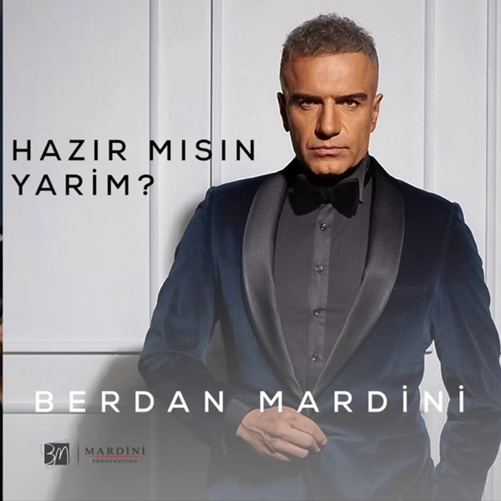 Hazır Mısın (2008)