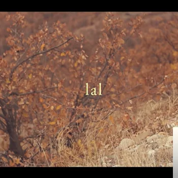 Lal (2020)