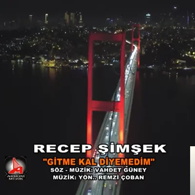 Gitme Kal Diyemedim (2020)