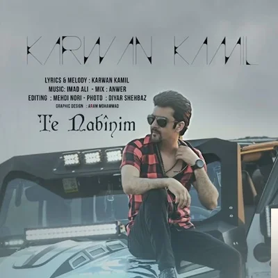 Te Nabinim (2020) cover