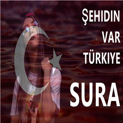 Şehidin Var Türkiye (2020)
