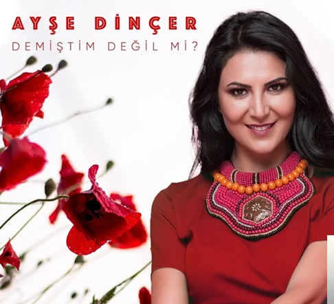 Demiştim Değil Mi (2020) cover
