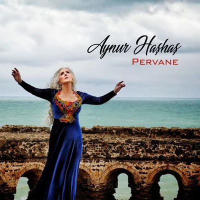 Pervane (2020) cover