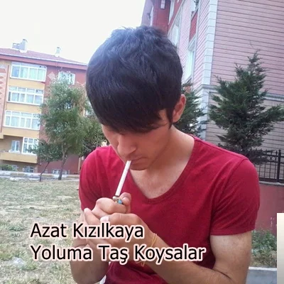 Yoluma Taş Koysalar (2014)