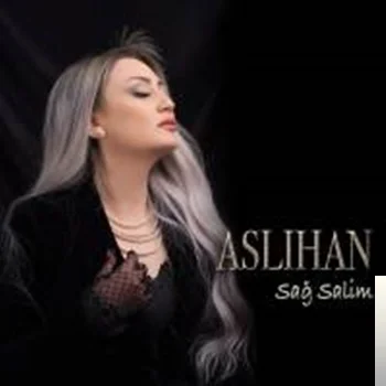Sağ Salim (2020) cover