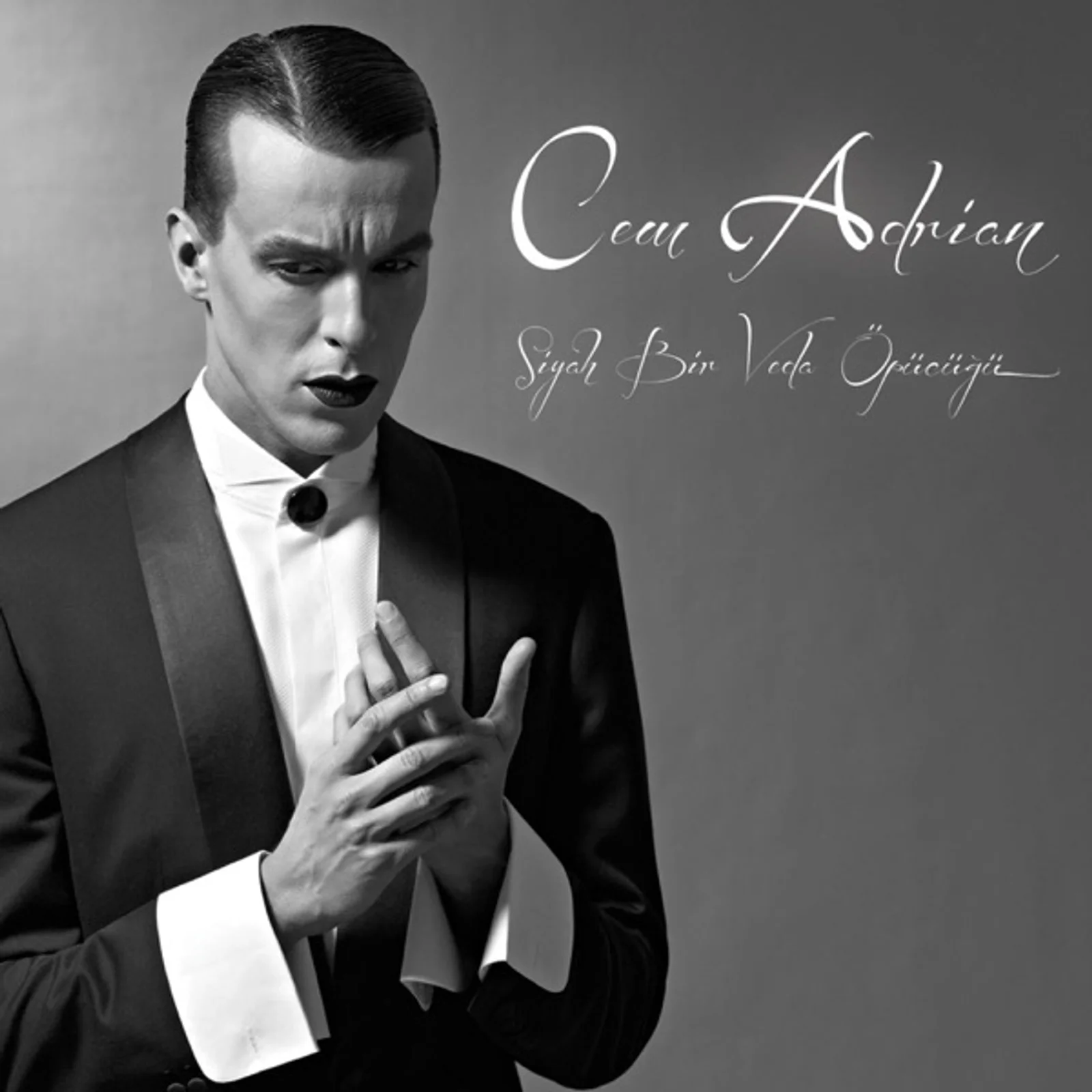 Siyah Bir Veda Öpücüğü (2012) cover