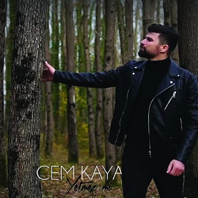 Yetmez mi (2020) cover