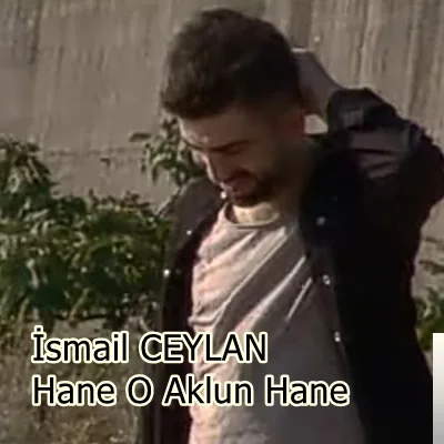 Hane O Aklun Hane (2020)