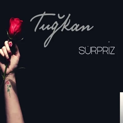 Sürpriz (2020)