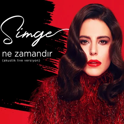 Ne Zamandır (2020)