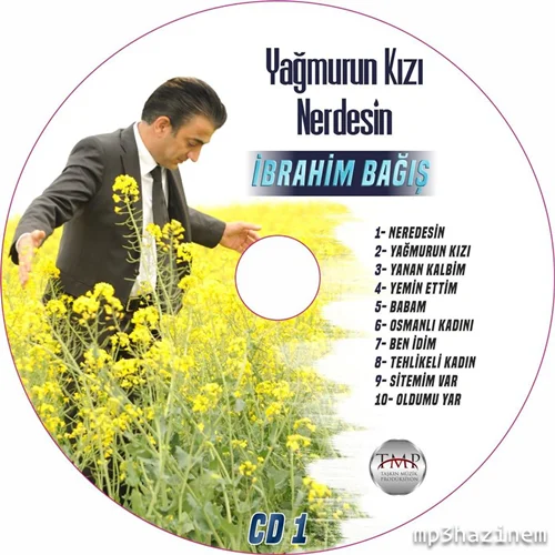 Yağmurun Kızı Nerdesin (2020) cover