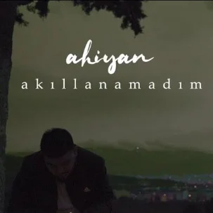 Akıllanamadım (2020)