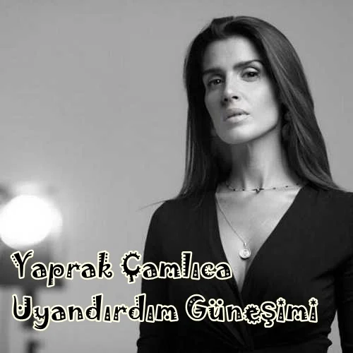 Uyandırdım Güneşimi (2020)