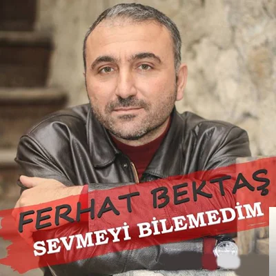 Sevmeyi Bilemedim (2020) cover