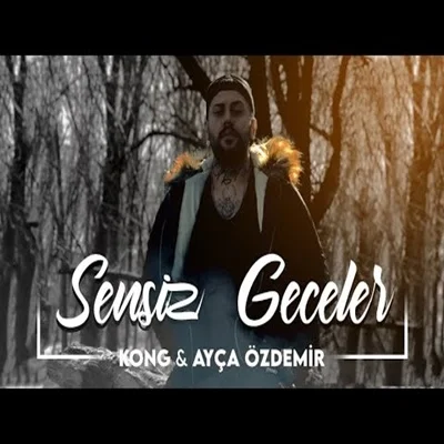 Sensiz Geceler (2020) cover
