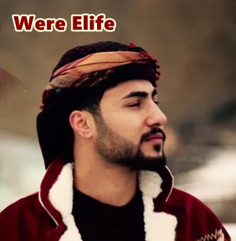 Were Elife (2020)