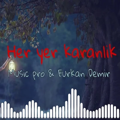 Her Yer Karanlık (2020) cover