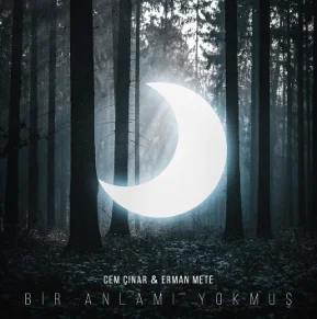 Bir Anlamı Yokmuş (2020) cover