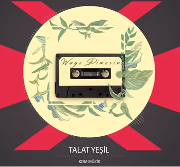 Waye Dimeşin (2020)