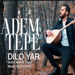 Dilo Yar (2020) cover