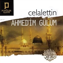Ahmedim Gülüm (2017) cover