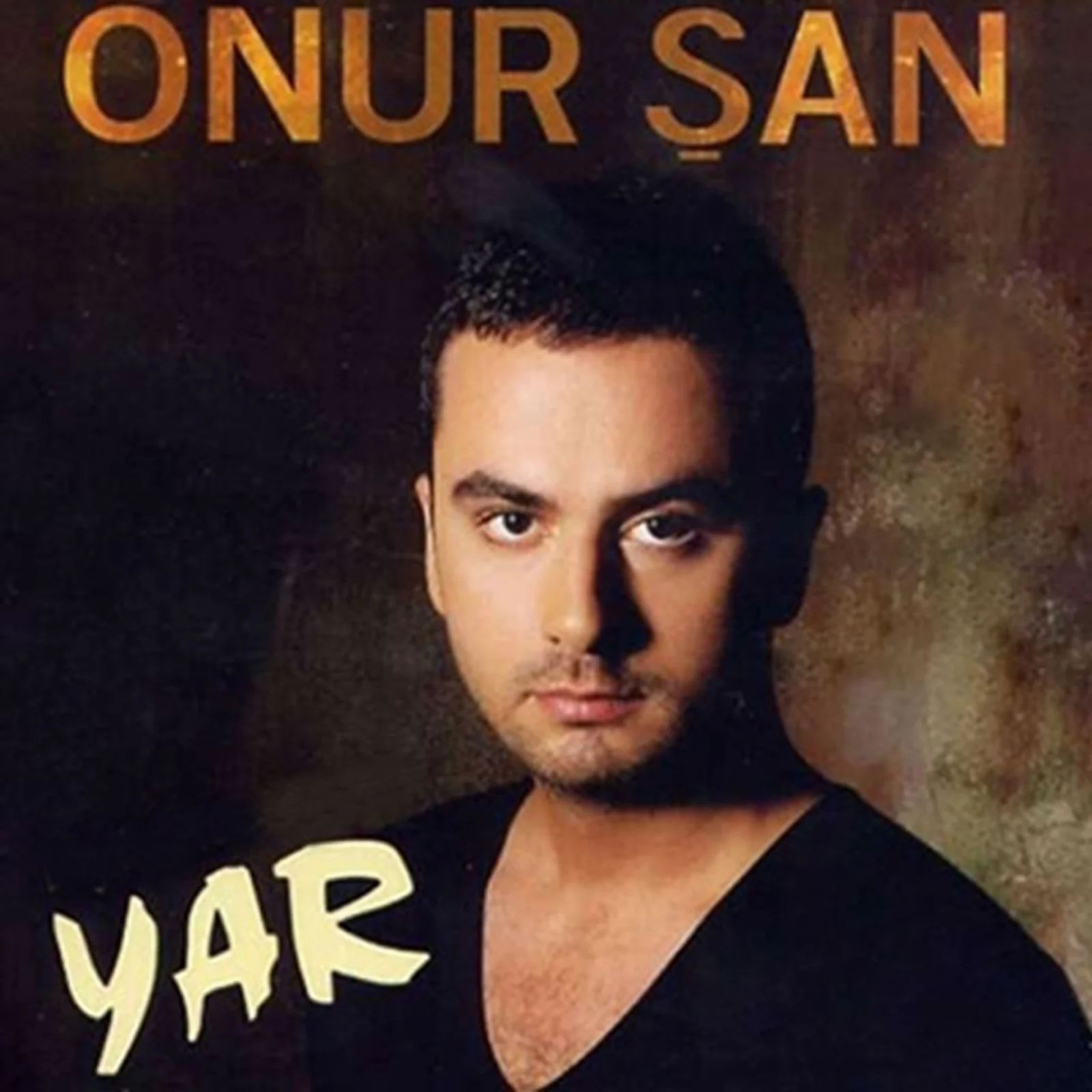 Dağlarına Kar Olurum (2005) cover