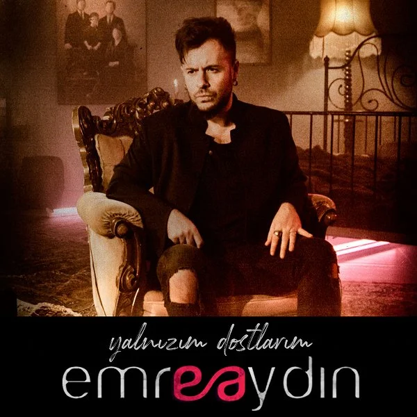 Yalnızım Dostlarım (2020) cover
