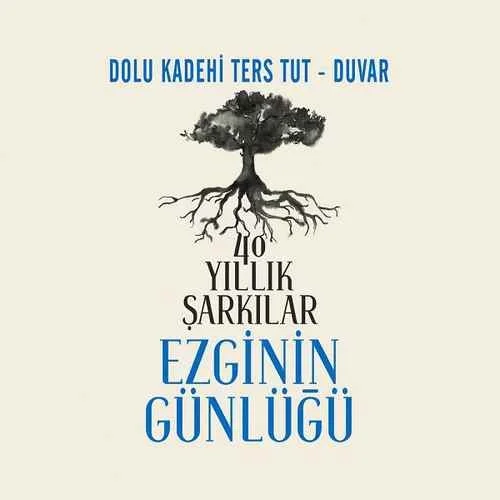 Duvar (2020) cover