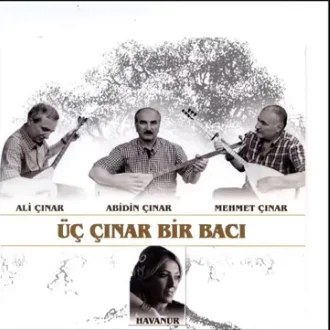 Üç Çınar Bir Bacı 1 (2013)