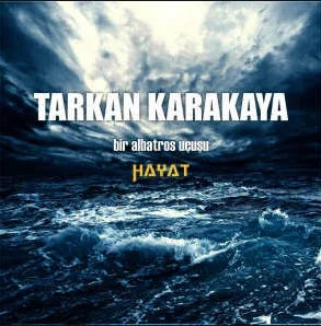 Bir Albatros Ucuşu (2013)