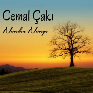 Nereden Nereye (2001)