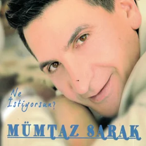 Ne İstiyorsun (2012)