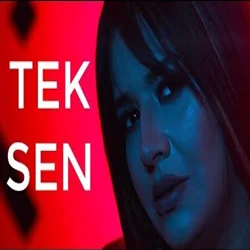 Tek Sen (2020) cover