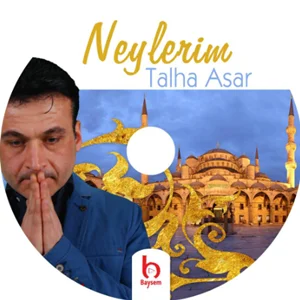 Neylerim (2015) cover