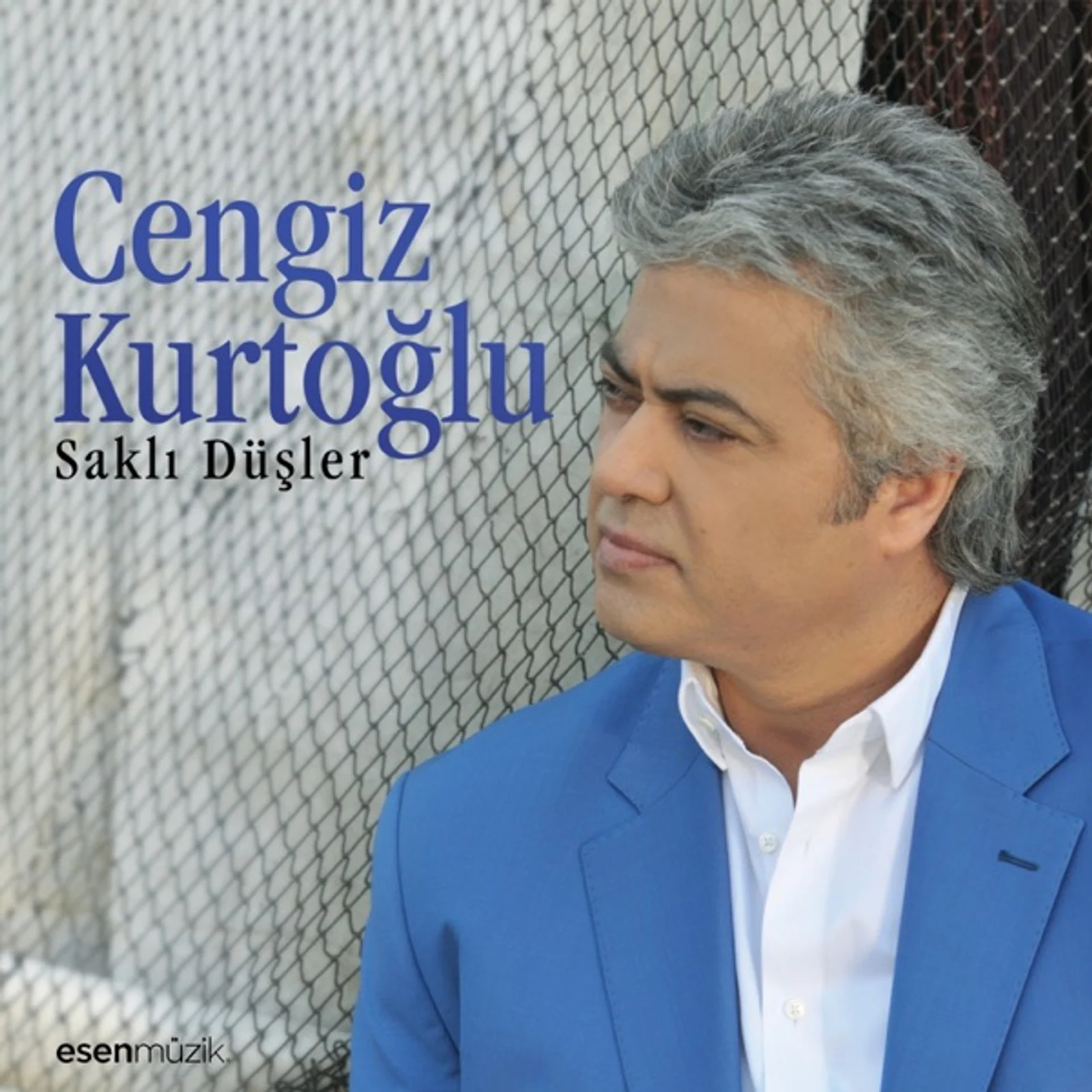 Saklı Düşler (2014) cover