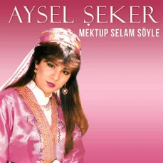 Mektup Selam Söyle (2020) cover