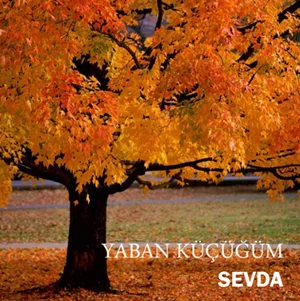 Yaban Küçüğüm (2007)