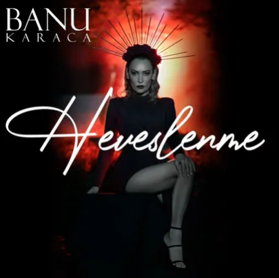 Heveslenme (2020) cover