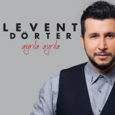 Ayrıla Ayrıla (2016)